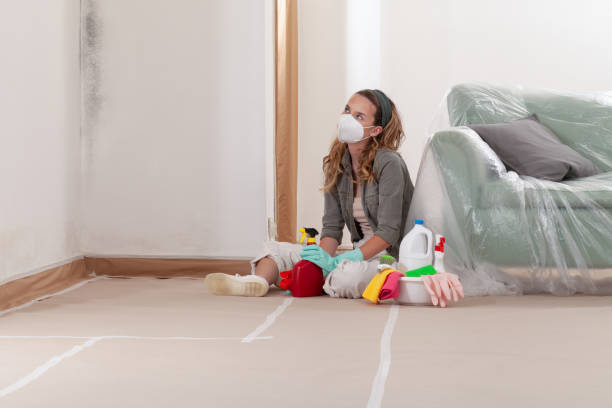 Reliable Basement Mold Removal contractor in Huntingtown, MD by WQB Mold Removal